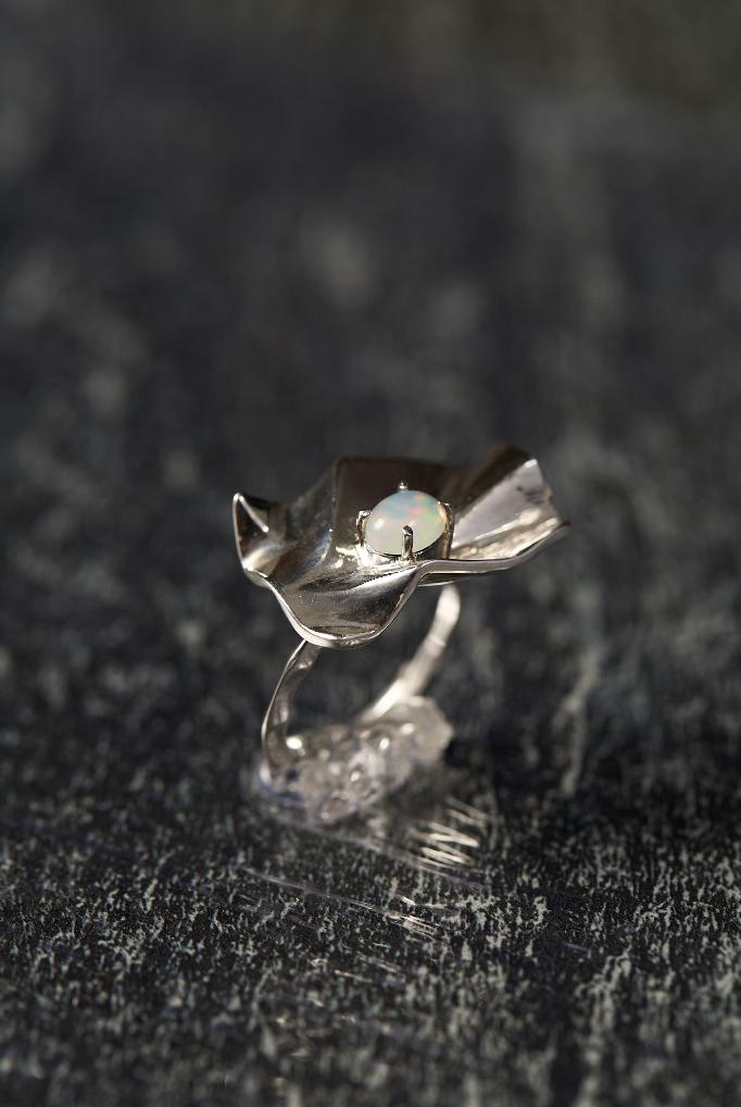 戒指 RINGS