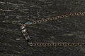 【SCART】Faith Chocker Opal Sterling Silver Necklace 38cm