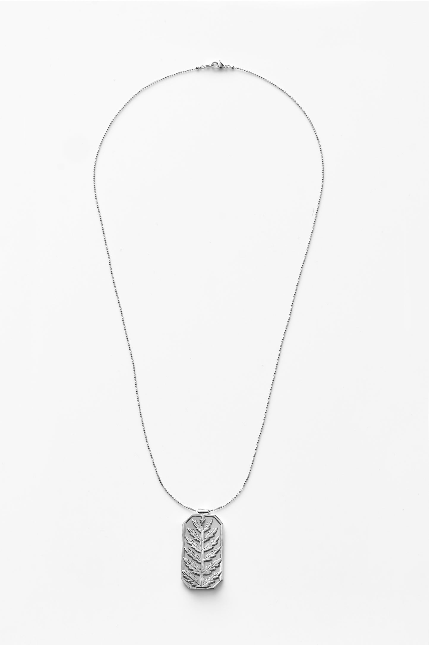 【綻放】框中風景-陰石蕨項鍊/預購訂製款/925純銀/黃銅鍍20K金 Humata Repens Necklace